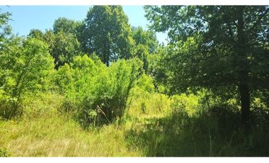 SE VENDEN 11 HECTAREAS DE TERRENO CERCA DE CHILLAN Y POR RECINTO, PINTO