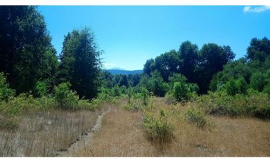SE VENDEN 11 HECTAREAS DE TERRENO CERCA DE CHILLAN Y POR RECINTO, PINTO