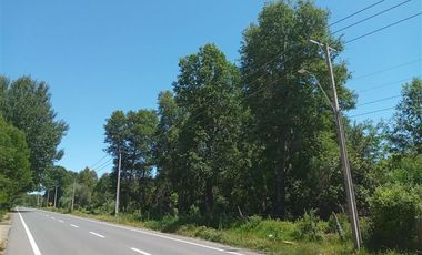 SE VENDEN 11 HECTAREAS DE TERRENO CERCA DE CHILLAN Y POR RECINTO, PINTO