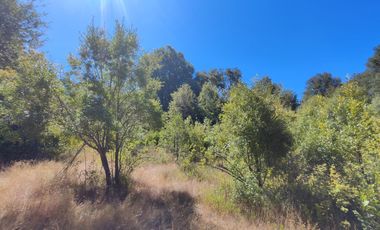 SE VENDEN 11 HECTAREAS DE TERRENO CERCA DE CHILLAN Y POR RECINTO, PINTO