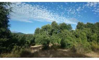 SE VENDEN 11 HECTAREAS DE TERRENO CERCA DE CHILLAN Y POR RECINTO, PINTO