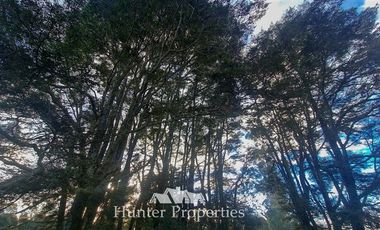 Terreno Construccion en Venta en aeropuerto El Tepual