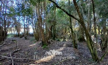 Parcela en Venta en camino Las Tranqueras frente a playa Niklitschek