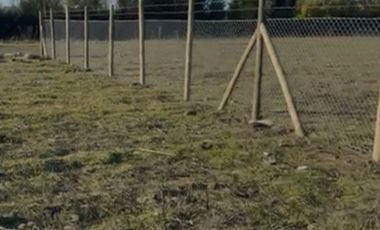 Parcela en Venta en Yerbas Buenas, El Olivar, Ruta L-25