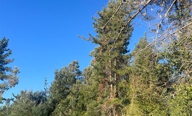 Parcela en Venta en Ruta K-705