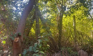 Parcela en Venta en Ruta K-705