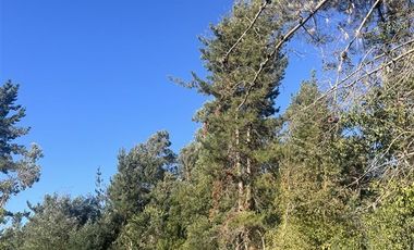 Parcela en Venta en Ruta K-705