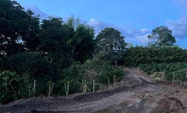 LOTE EN VENTA EN LA MESA QUIMBAYA