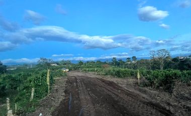 LOTE EN VENTA EN LA MESA QUIMBAYA