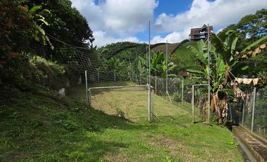 FINCA EN VENTA EN SECTOR MORELIA/PEREIRA