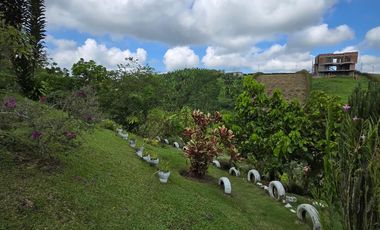 FINCA EN VENTA EN SECTOR MORELIA/PEREIRA