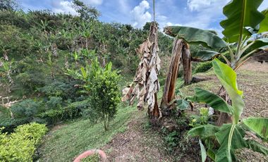 LOTE EN VENTA EN LA PALMILLA/PEREIRA