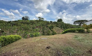 LOTE EN VENTA EN LA PALMILLA/PEREIRA