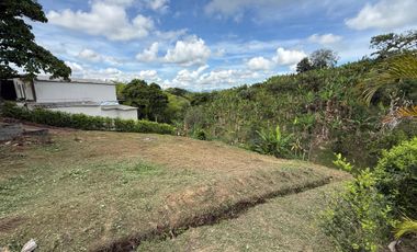 LOTE EN VENTA EN LA PALMILLA/PEREIRA