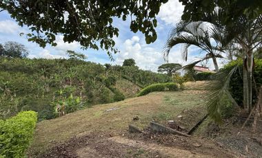 LOTE EN VENTA EN LA PALMILLA/PEREIRA