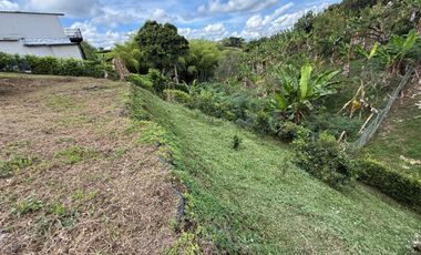 LOTE EN VENTA EN LA PALMILLA/PEREIRA
