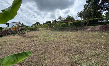 LOTE EN VENTA EN LA PALMILLA/PEREIRA