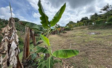 LOTE EN VENTA EN LA PALMILLA/PEREIRA