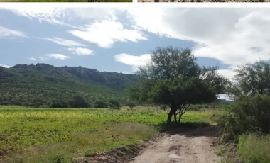 Terreno en Venta en Ojo de Agua de Crucitas, el llano
