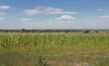Terreno en Venta en Ojo de Agua de Crucitas, el llano