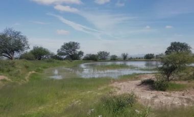 Terreno en Venta en Ojo de Agua de Crucitas, el llano