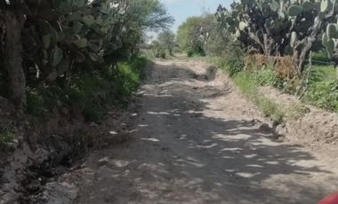 Terreno en Venta en Ojo de Agua de Crucitas, el llano