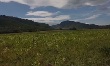 Terreno en Venta en Ojo de Agua de Crucitas, el llano