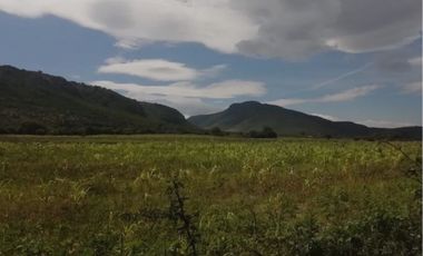 Terreno en Venta en Ojo de Agua de Crucitas, el llano