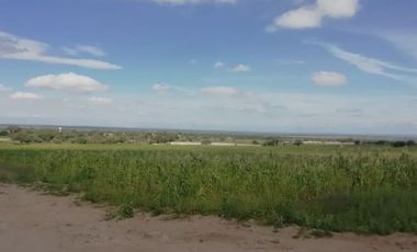 Terreno en Venta en Ojo de Agua de Crucitas, el llano