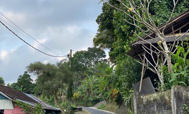 Di kontrakan tanah Penatahan, Penebel, Tabanan, Bali