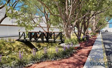 Locales en Preventa Norte Aguascalientes