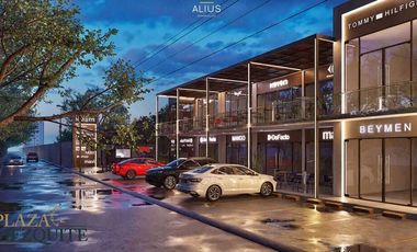 Locales en Preventa Norte Aguascalientes