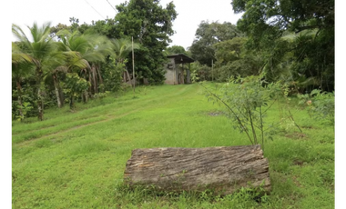 COLON / SABANITAS / 109790M / FINCA CAMPESTRE / VIA PRINCIPAL