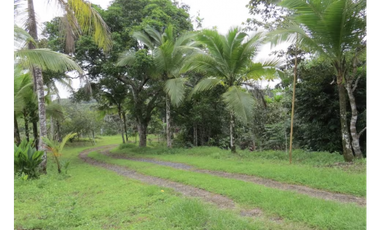 COLON / SABANITAS / 109790M / FINCA CAMPESTRE / VIA PRINCIPAL