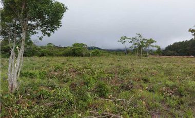 VENDO LOTES DE 1000MTS CERCA A LA TEXACO DE ALTO BOQUETE
