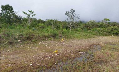 VENDO LOTES DE 1000MTS CERCA A LA TEXACO DE ALTO BOQUETE