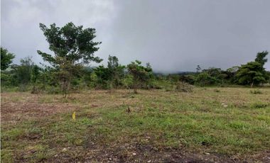 VENDO LOTES DE 1000MTS CERCA A LA TEXACO DE ALTO BOQUETE