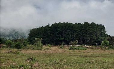 VENDO LOTES DE 1000MTS CERCA A LA TEXACO DE ALTO BOQUETE