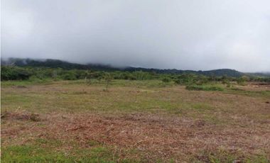 VENDO LOTES DE 1000MTS CERCA A LA TEXACO DE ALTO BOQUETE