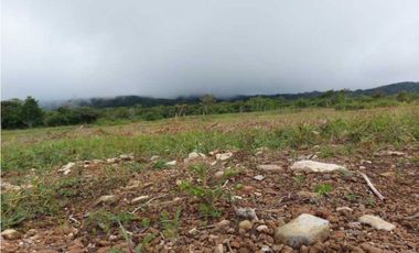 VENDO LOTES DE 1000MTS CERCA A LA TEXACO DE ALTO BOQUETE