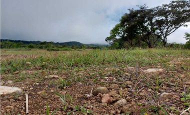 VENDO LOTES DE 1000MTS CERCA A LA TEXACO DE ALTO BOQUETE