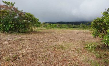 VENDO LOTES DE 1000MTS CERCA A LA TEXACO DE ALTO BOQUETE