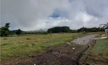 VENDO LOTES DE 1000MTS CERCA A LA TEXACO DE ALTO BOQUETE