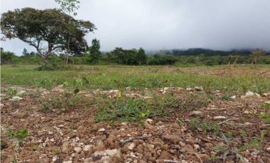 VENDO LOTES DE 1000MTS CERCA A LA TEXACO DE ALTO BOQUETE