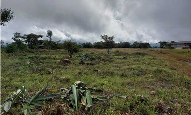 VENDO LOTES DE 1000MTS CERCA A LA TEXACO DE ALTO BOQUETE