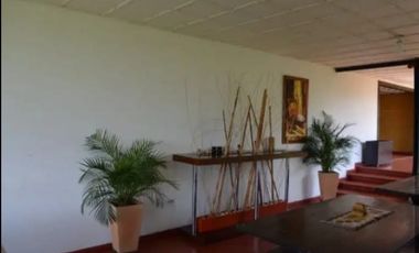 Se vende finca en  Quimbaya - 8 cuadras