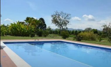 Se vende finca en  Quimbaya - 8 cuadras