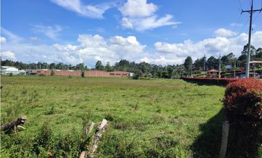 terreno industrial para venta Rionegro  Antioquia 10 Hectáreas