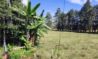 terreno industrial para venta Rionegro  Antioquia 10 Hectáreas