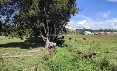 terreno industrial para venta Rionegro  Antioquia 10 Hectáreas